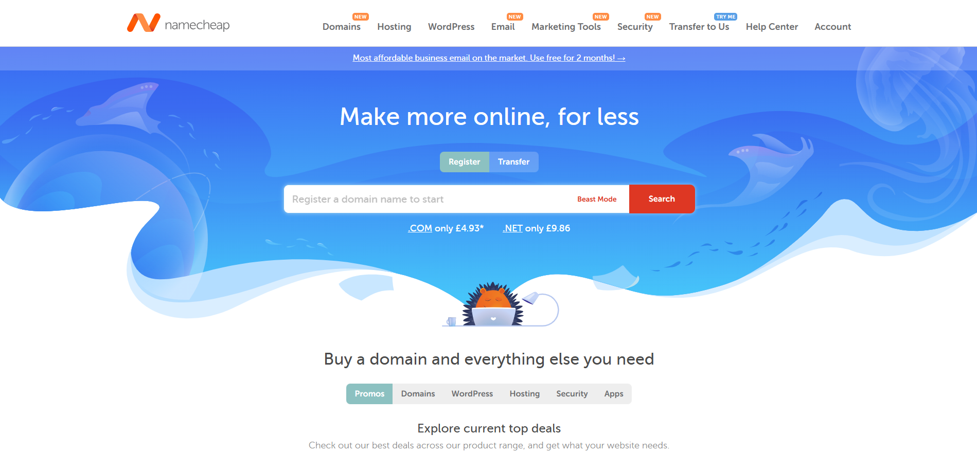 Namecheap homepage preview